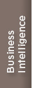 Business Intelligence