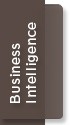 Business Intelligence
