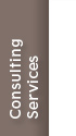 consulting